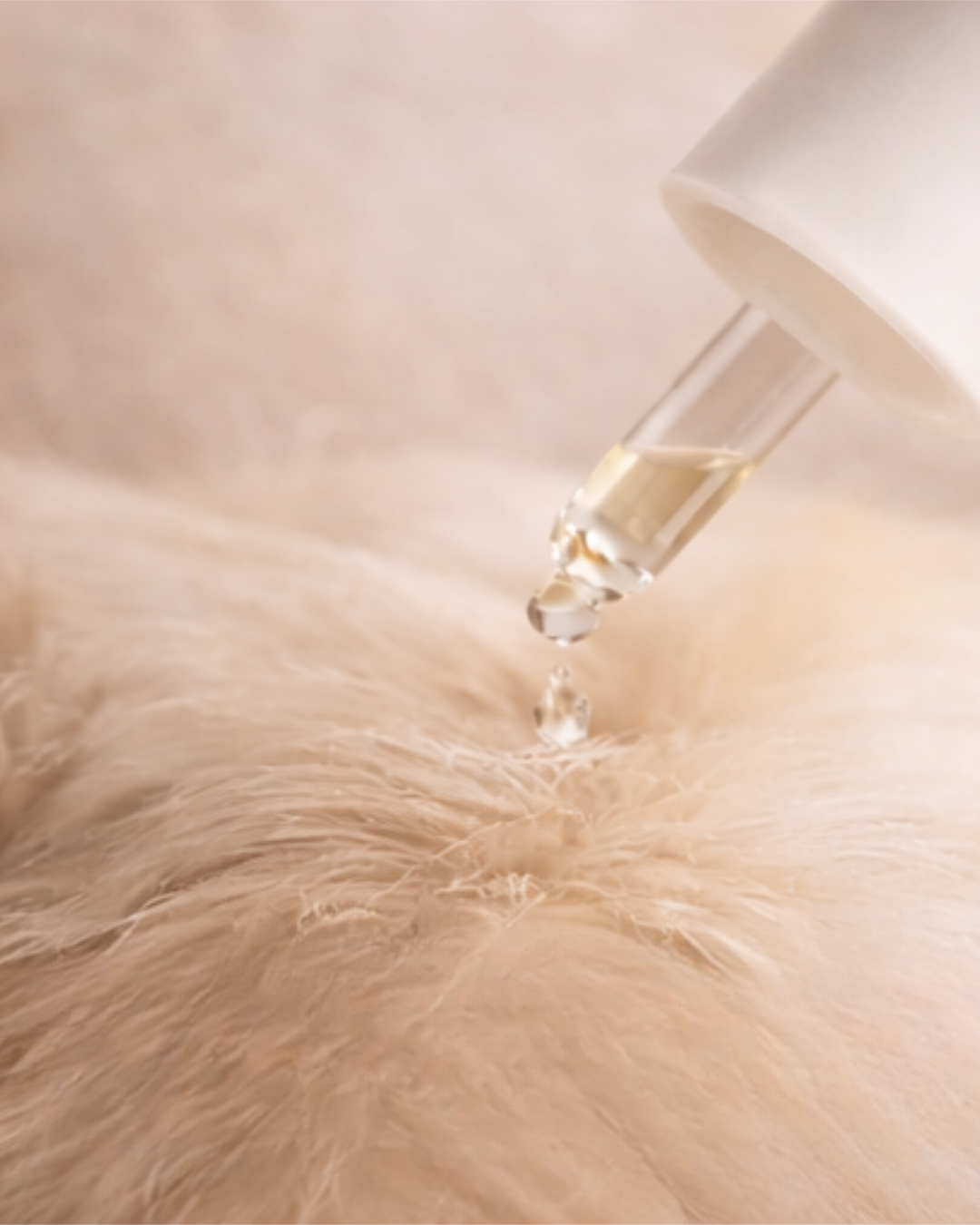 Signature Cristal Oil | PRE-ORDER